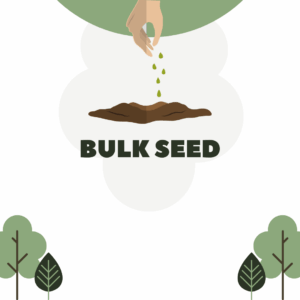 Bulk seeds
