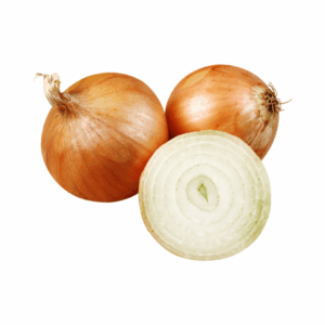 onion seed
