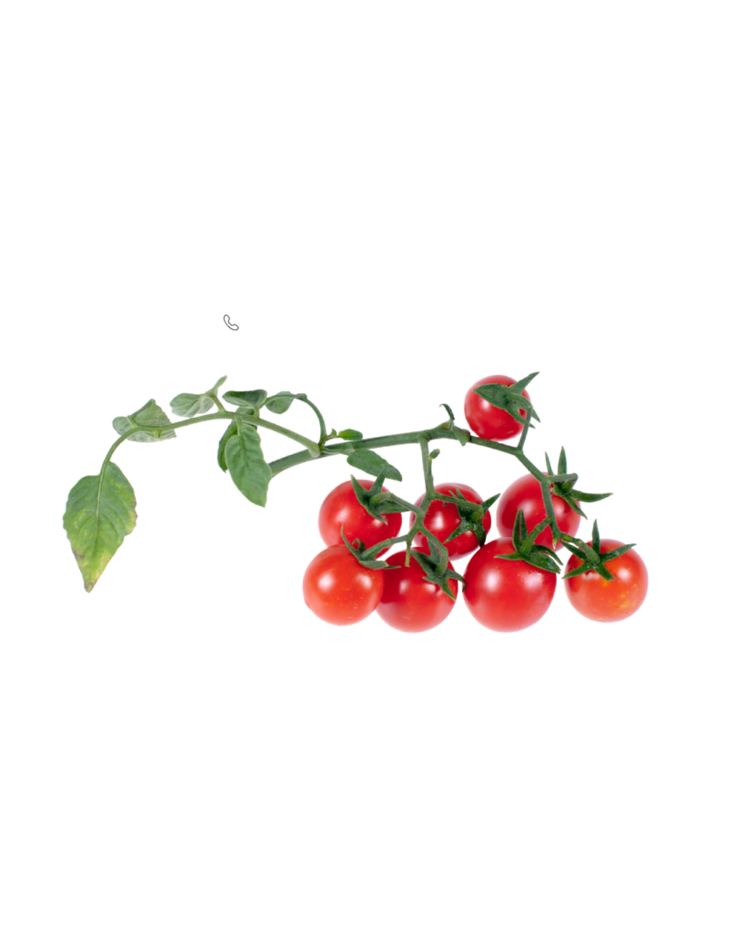 namnlos design 4 819x1024